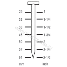  Nail T Floor 2.2X6mm 57mm 1000