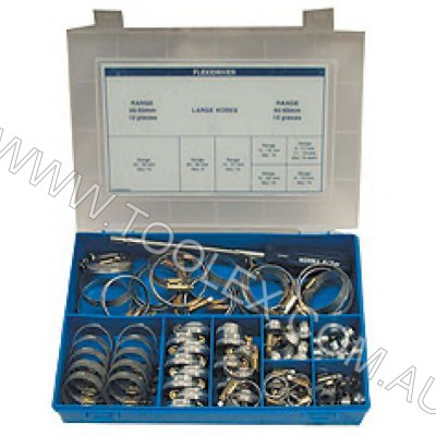Hose Clamp Norm Grab Kit 100Pc