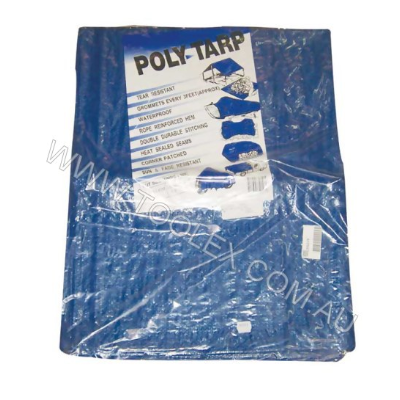 Tarpaulin Blue 4'X6'