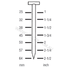  Nail T Floor 2.2X6mm 25mm 2000