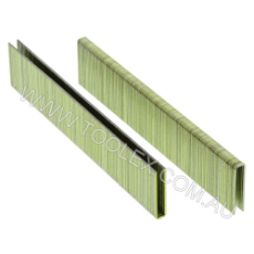  Staple-