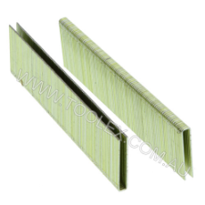  Staple-