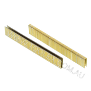 Staple-