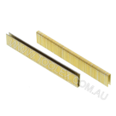  Staple-