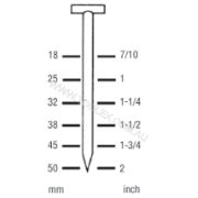 Nail T Concrete 2.2X6 38mm1000