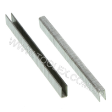  Staple 