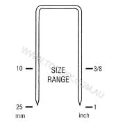 Staple 80Ser 21G 22X12.8M 5000