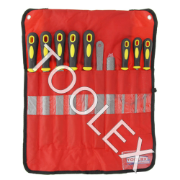 Hand File & Rasp Set 10 Piece