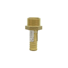 Hose Tail  Male 1