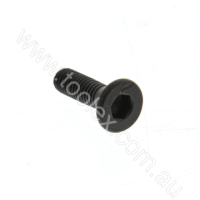 Screw To Suit Toolex Multi-Too 597438