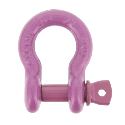 Shackle Bow Screw Pin  10mm x 11mm Paint Violet 1 tonne WLL AS2741-2002 S209