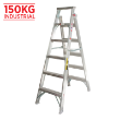 594186 - Ladder Dual Purpose 1.8m 3.3m