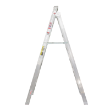 594187 - Ladder Dual Purpose 2.1m 3.9m