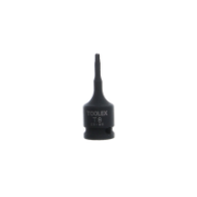 Socket Torx T8 Male 1/4