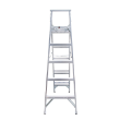 598517 - Ladder Dual Purpose 1.7m 3.2m