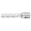511255 - Mag Drill Cutters 12MMx55MM
