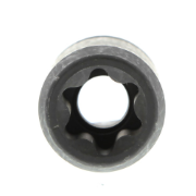 Socket Torx E22 Female 1/2